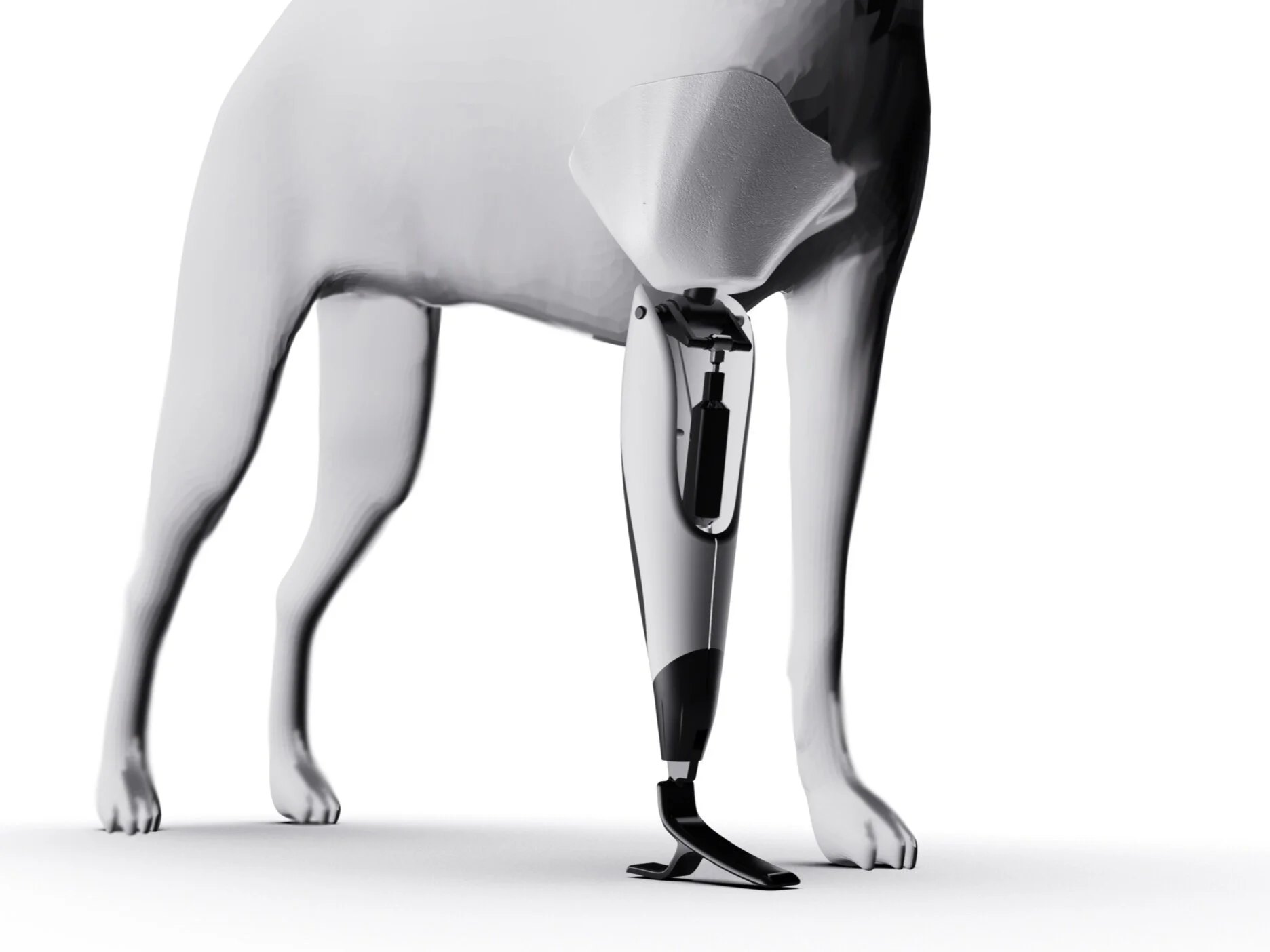 NextStep attached to Canine