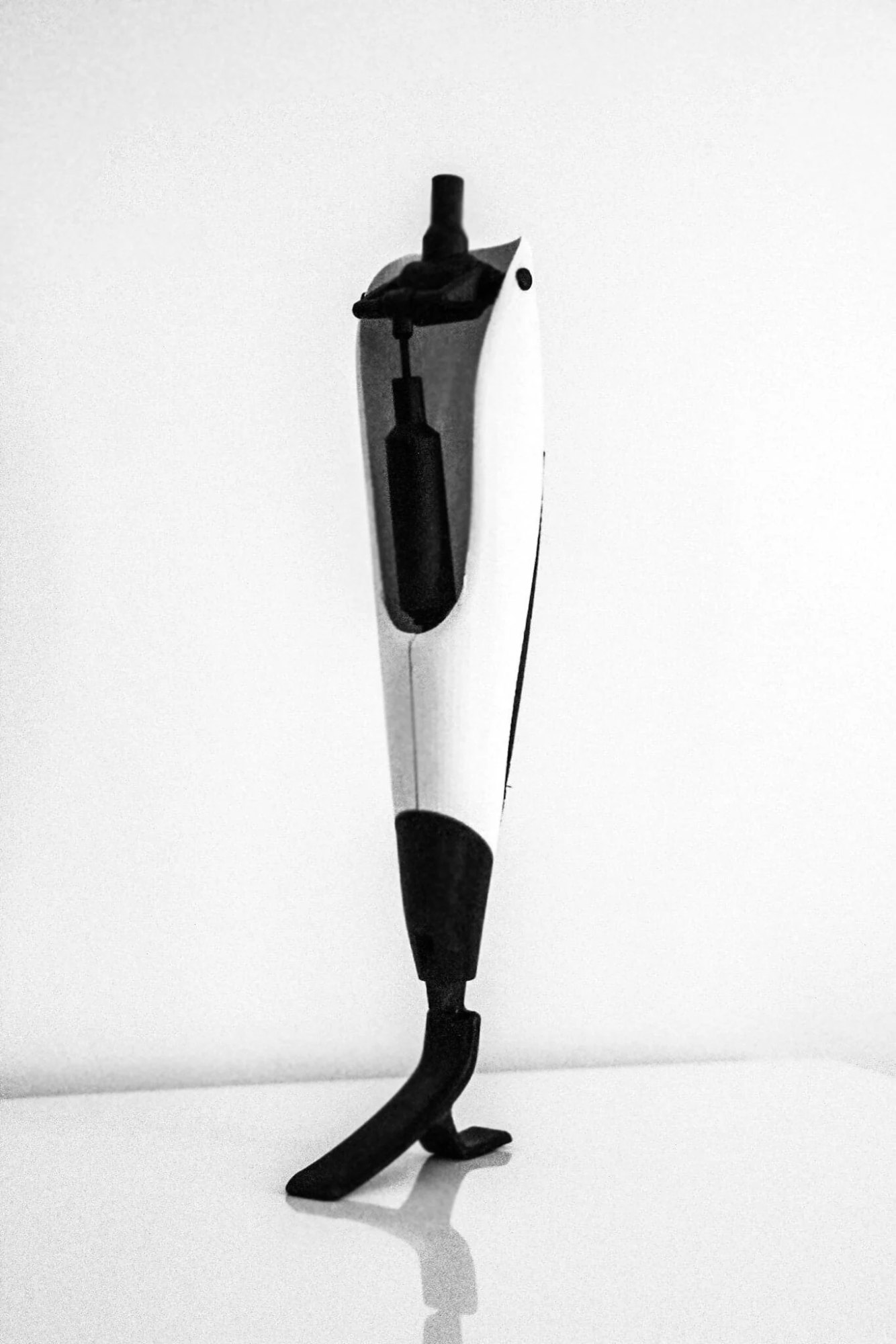 3D printed Model