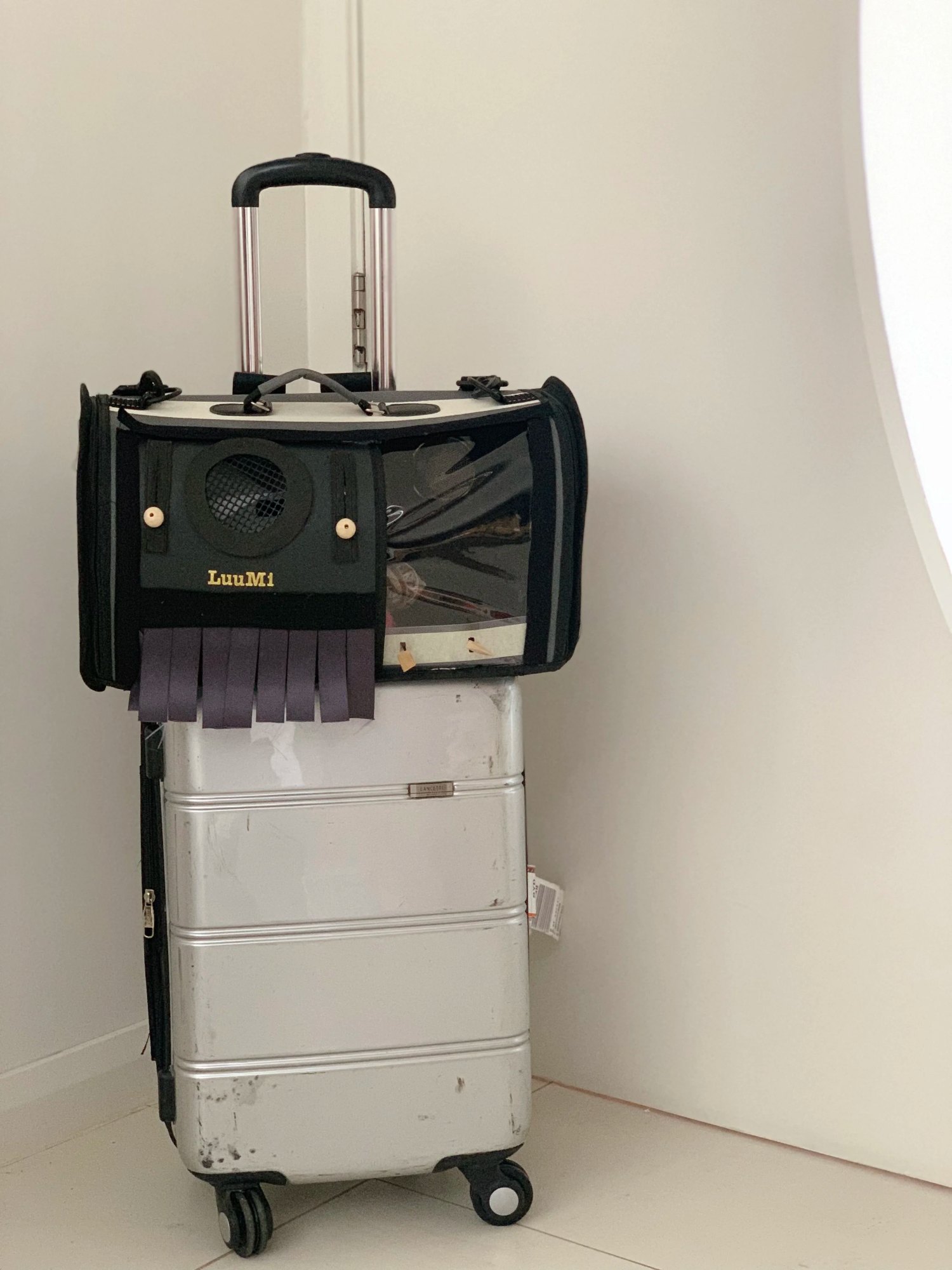 LuuMi Cat Travel bag: you can wear it in different ways, leaving your hands free when you travel with your cat