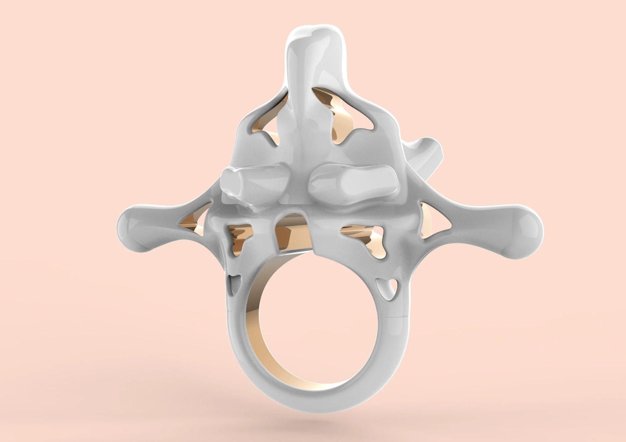 One of two interchangeable rings responsible for securing the cord on the middle knuckle before it is wrapped around the hand