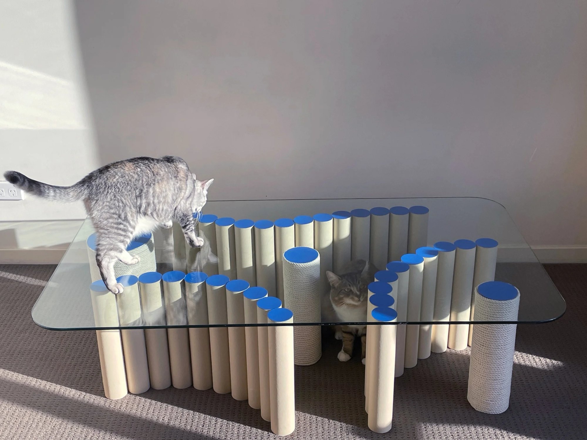 Cat n’ Pillar by Katherine Lai