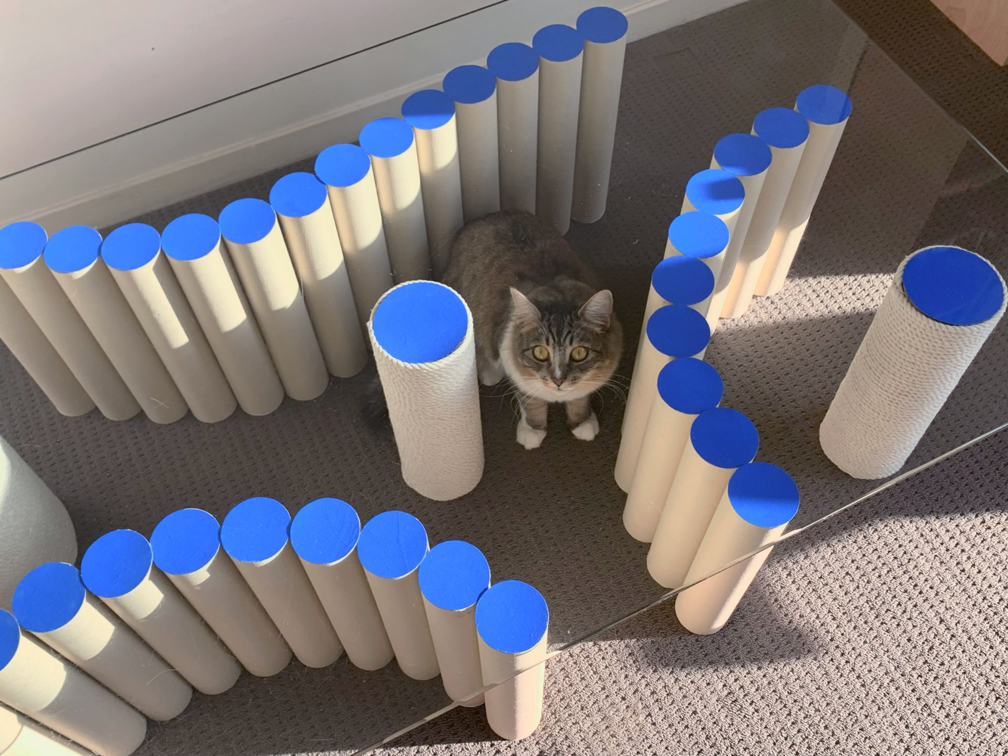 Flexible pillars turn into winding tunnels for cats to play and rest in