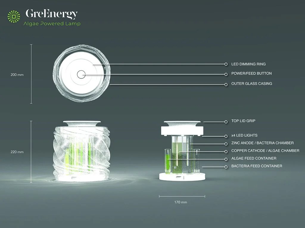 GreEnergy: An Algae-powered Lamp, image 4