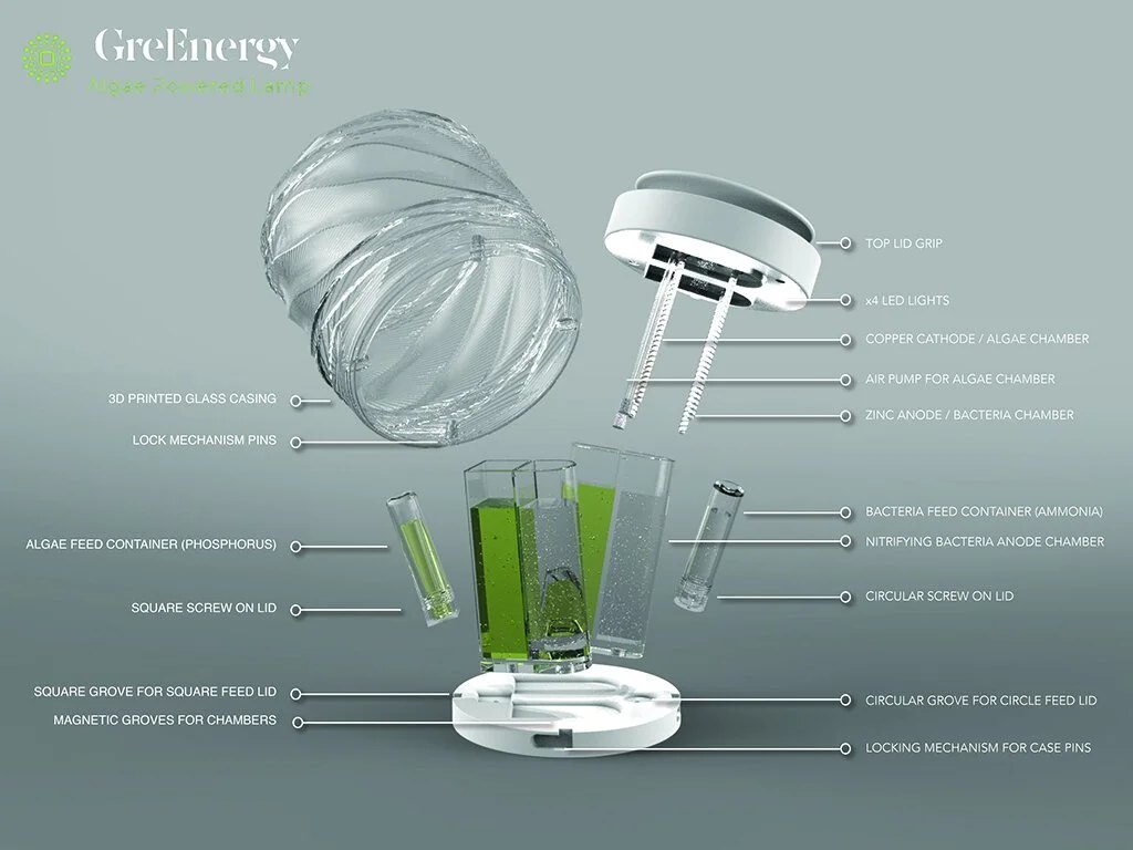 GreEnergy: An Algae-powered Lamp, image 6