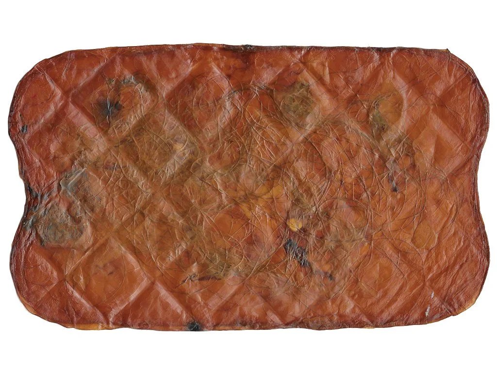 How the biomaterial looks when it is embedded with a user’s genetic material.