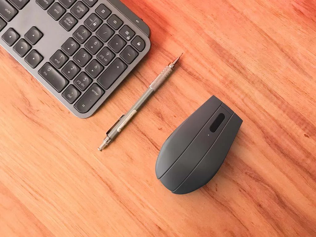 Rendering of mouse in context