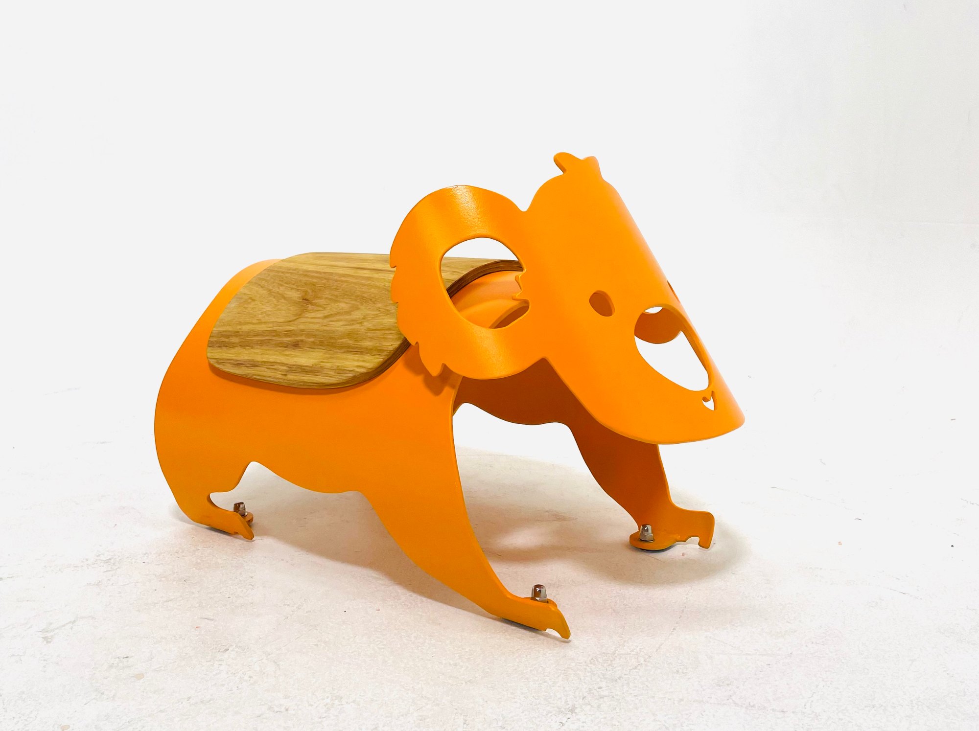 Figure 2. Koala joey