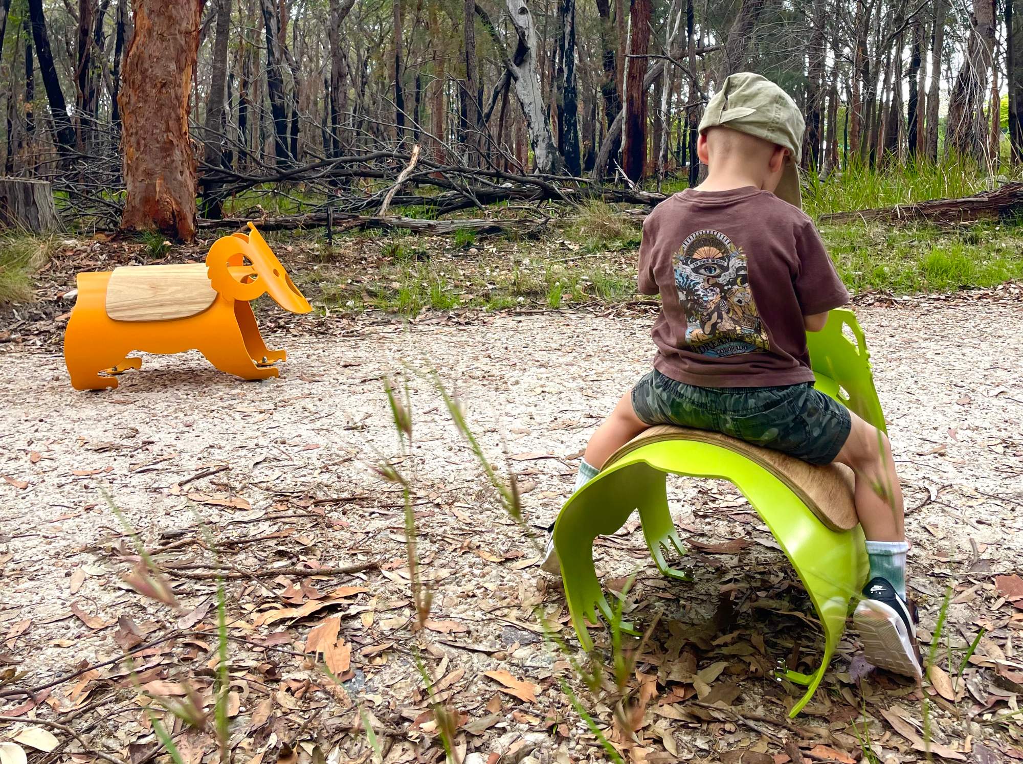 Figure 8. Wombat joey, photo taken with permission from child’s parents