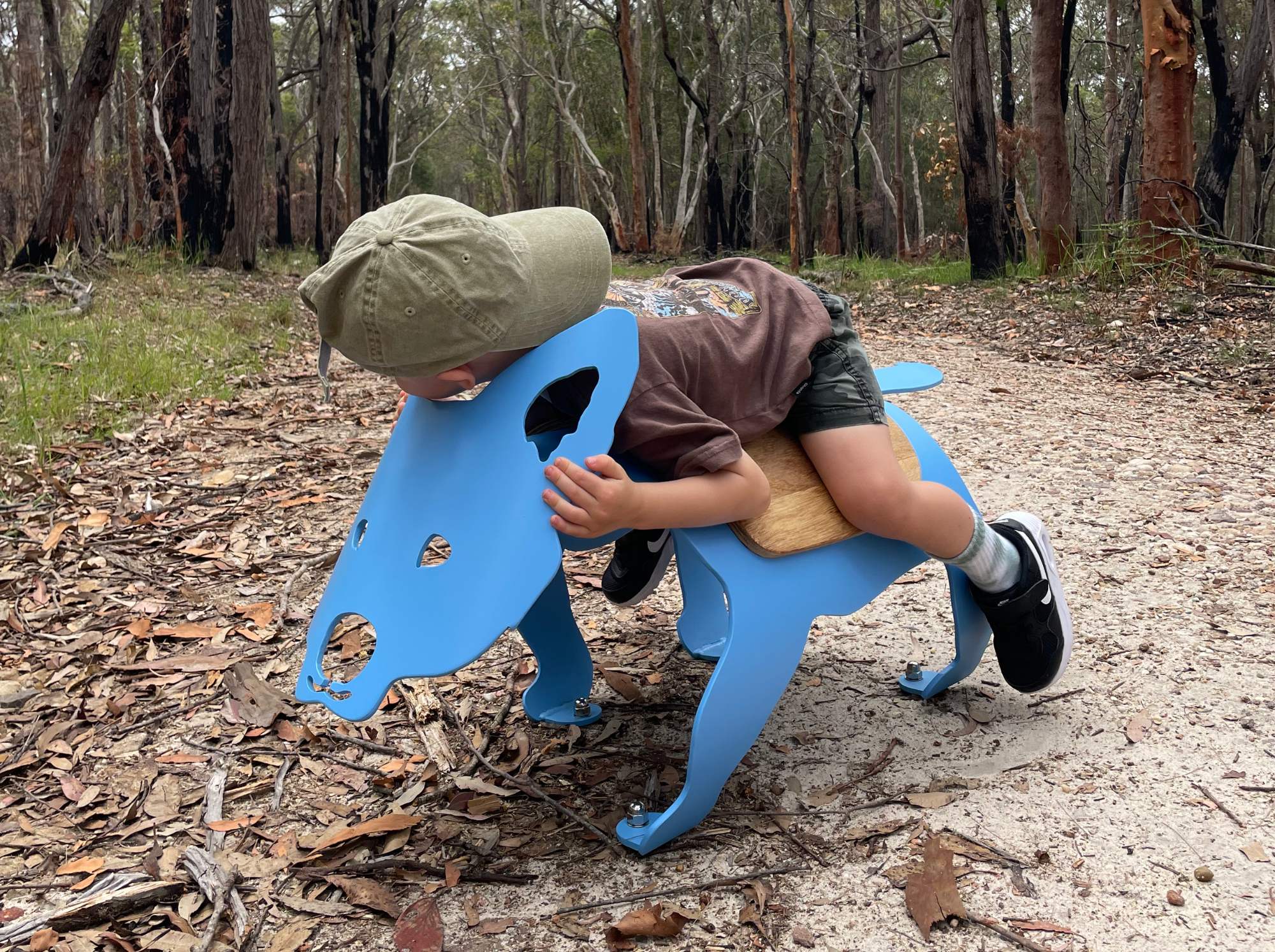 Figure 7. Dingo pup, photo taken with permission from child’s parents