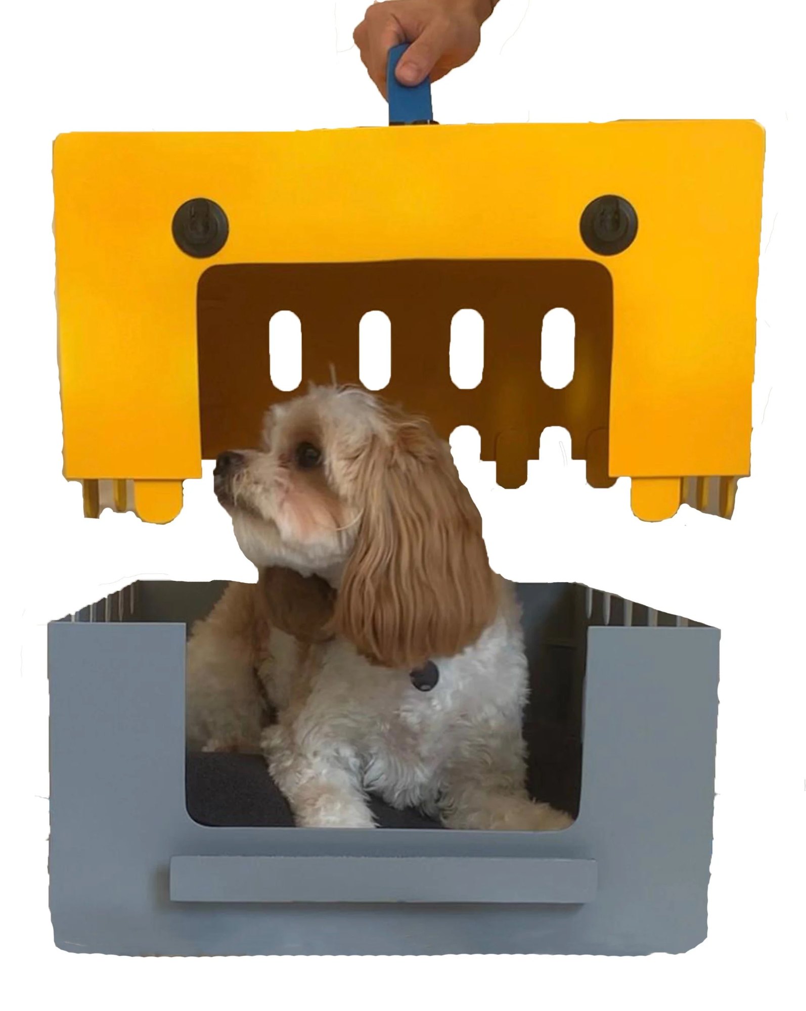 Removal of Top Unit to create pet bed