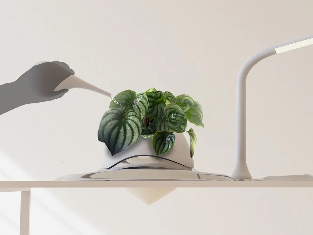 Active interaction & care for plant